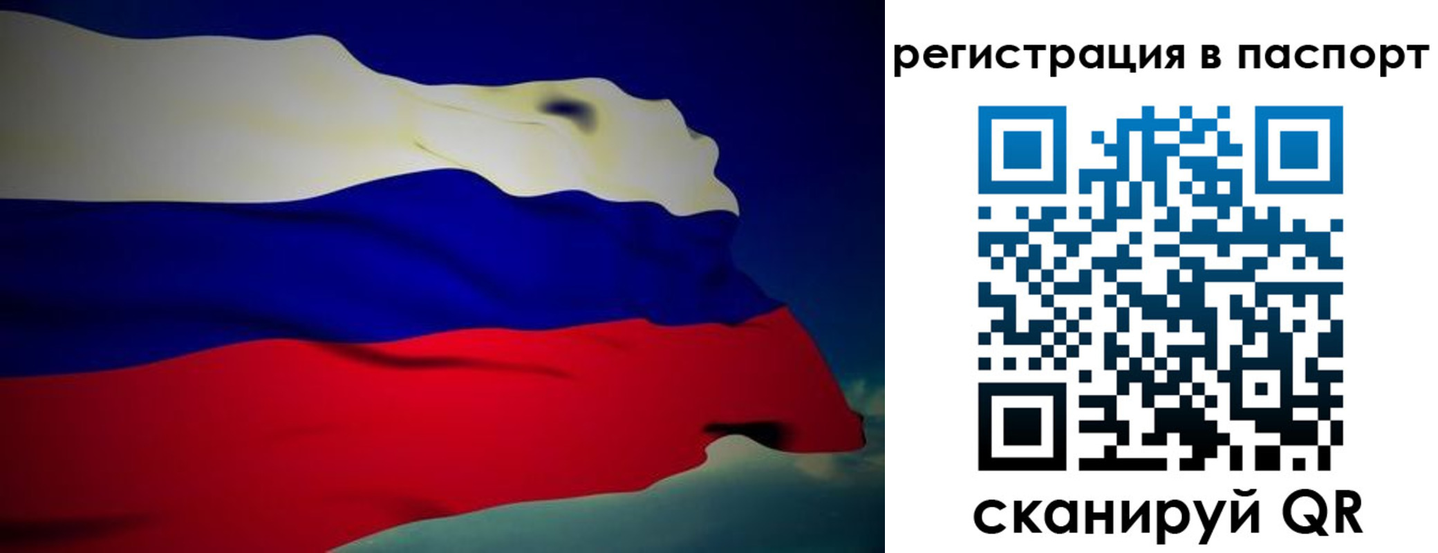 прописка законно в Оленегорске